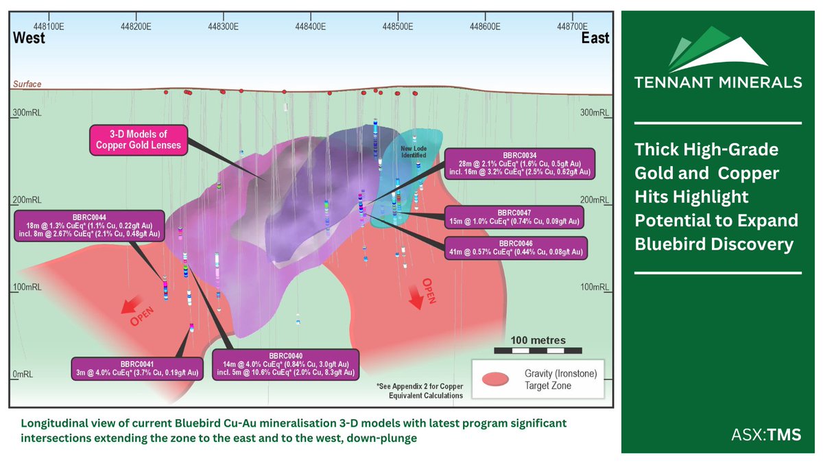 #ASXNews: Further thick, high-grade #copper &amp; #gold zones including #silver, intersected in the latest RC drilling program at $TMSs Bluebird discovery in the Northern Territory.
bit.ly/4ddwI9V