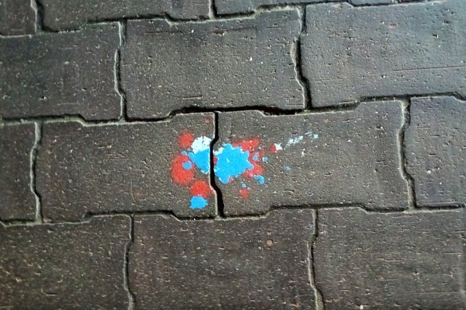 ペンキの染みにいのちの輝きを見る 