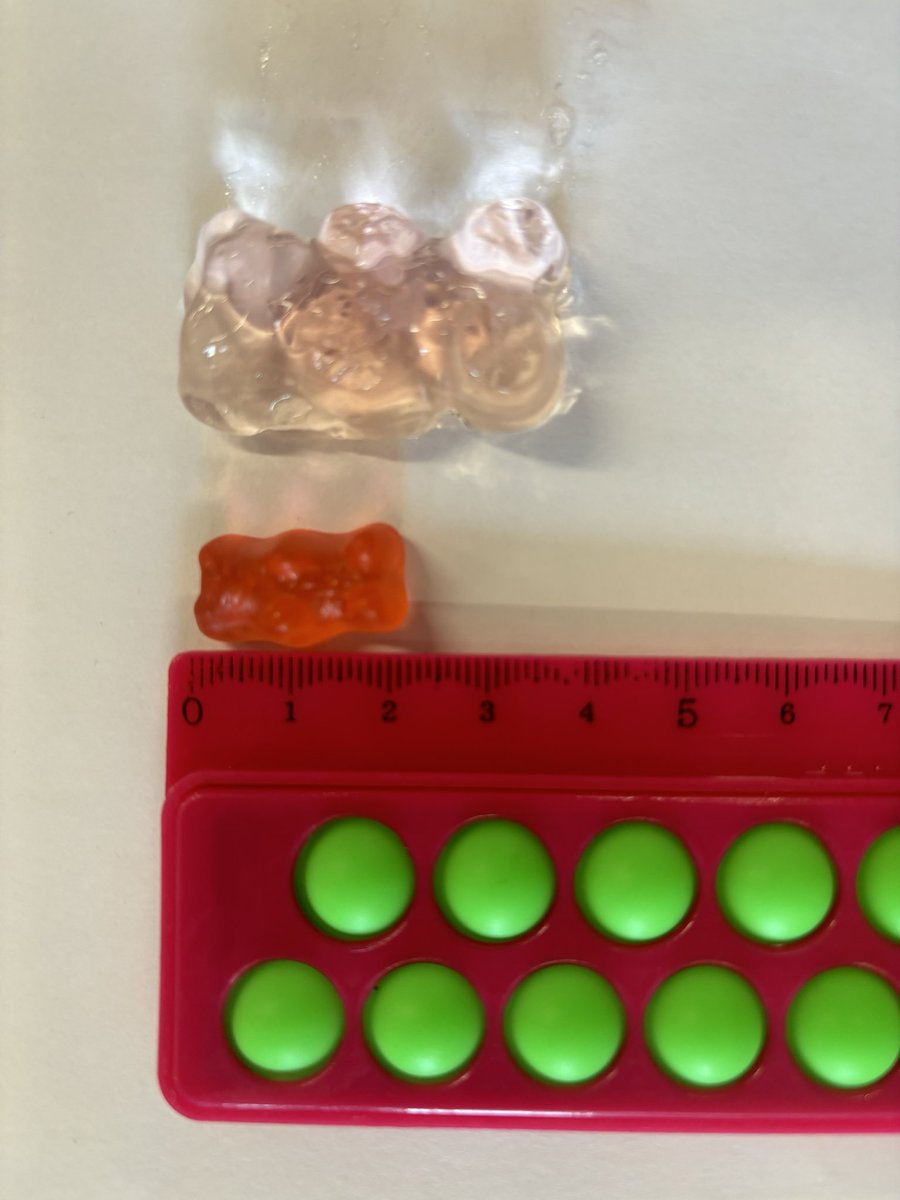 Rhiannon McIntosh tweet media