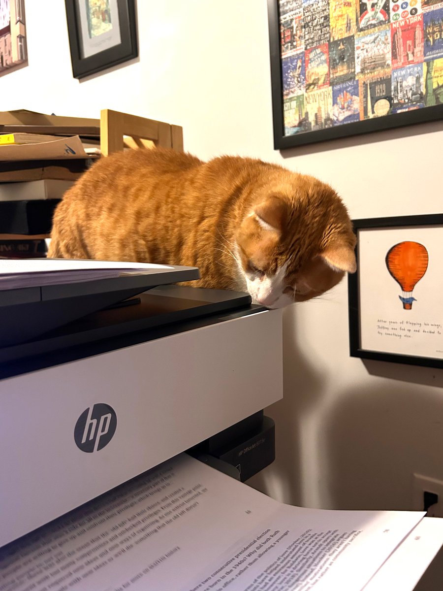 NW Editors Guild (Find us on other socials) tweet media