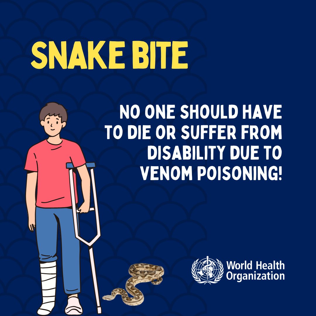 Snake antivenoms are effective treatments to prevent or reverse most of the harmful effects of venomous #SnakeBite 🐍

No one should have to die or suffer from disability due to venom poisoning bit.ly/Ssssnake