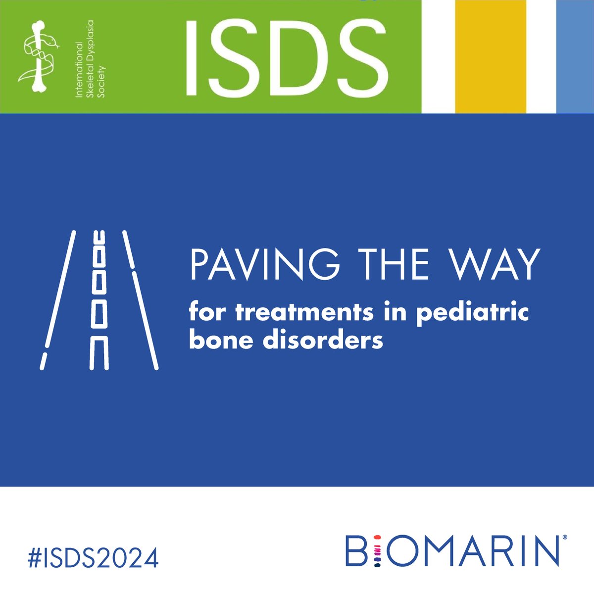 BioMarinMedical's tweet photo. Join us at #ISDS2024 to hear how a novel CNP analog adjuvant therapy can impact #BoneGrowth and quality in growing mice with moderate-to-severe #OsteogenesisImperfecta. This post is intended for US healthcare professionals only. https://t.co/nVEKg0fYQn