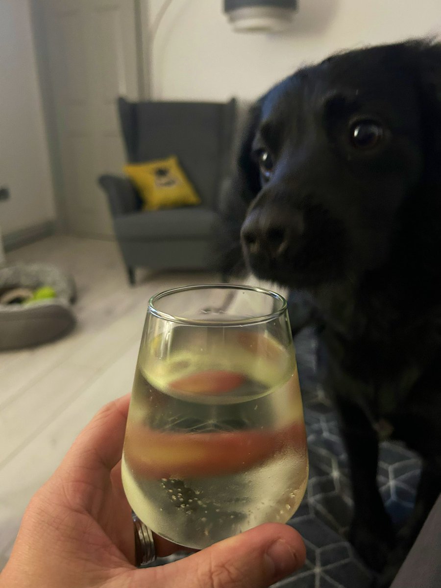 A P Marlow (@a_p_marlow) on Twitter photo It was fantastic to welcome colleagues from across to St Helens to visit our school and learn about our SEND First Approach! Time for a quick wind down (not sure what work Milo has done but heโs also ready for a wind down) It was fantastic to welcome colleagues from across to St Helens to visit our school and learn about our SEND First Approach! Time for a quick wind down (not sure what work Milo has done but heโs also ready for a wind down)