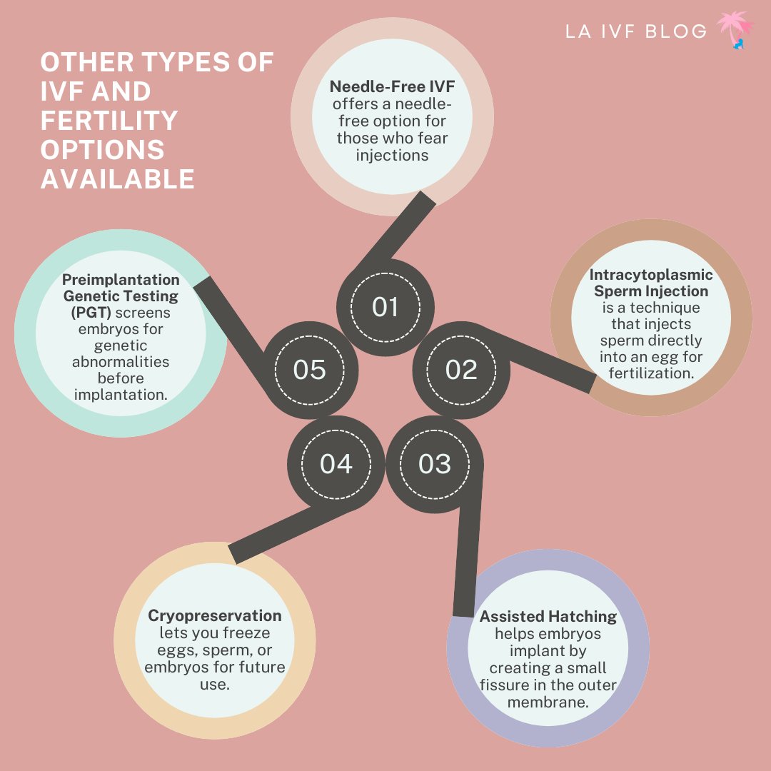 laivfclinic's tweet photo. IVF has brought hope to millions since the birth of the first IVF baby nearly 50 years ago. Discover the top three fertility options available today and learn which one might be right for you. 💙

https://t.co/GN9F56pcRK https://t.co/m7dwzF2UMK