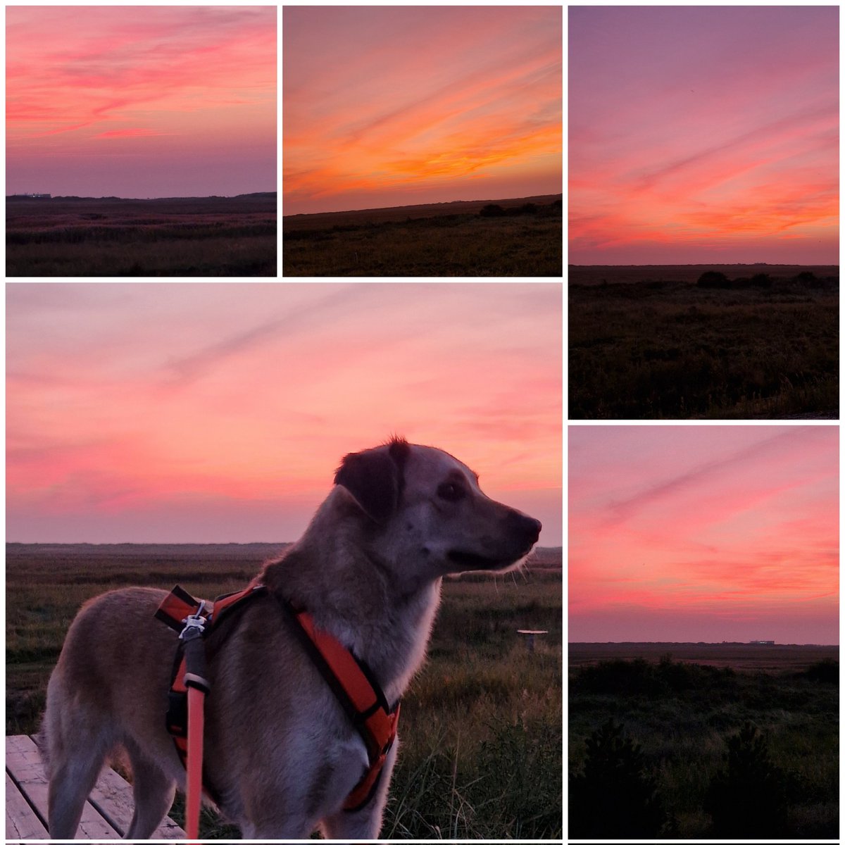 #AbendHimmel #Nordsee