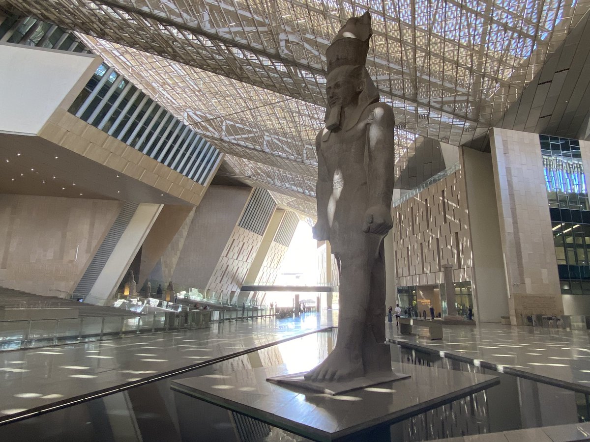 Dario Calomino tweet media