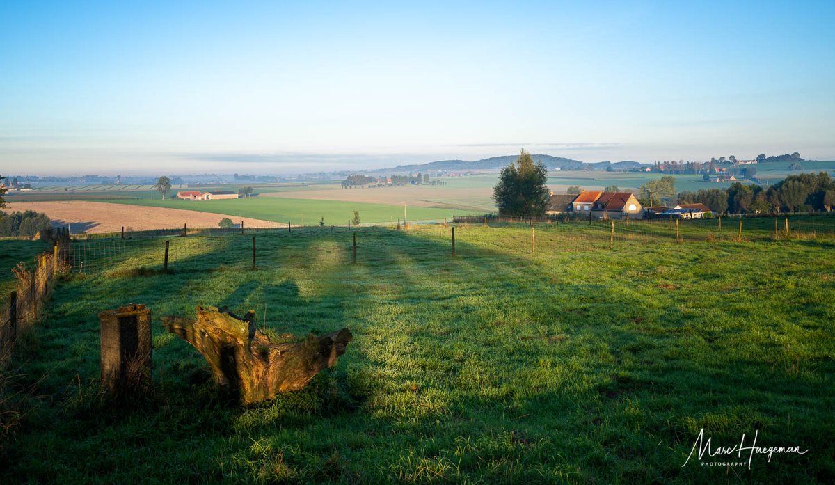 Marc Haegeman tweet media