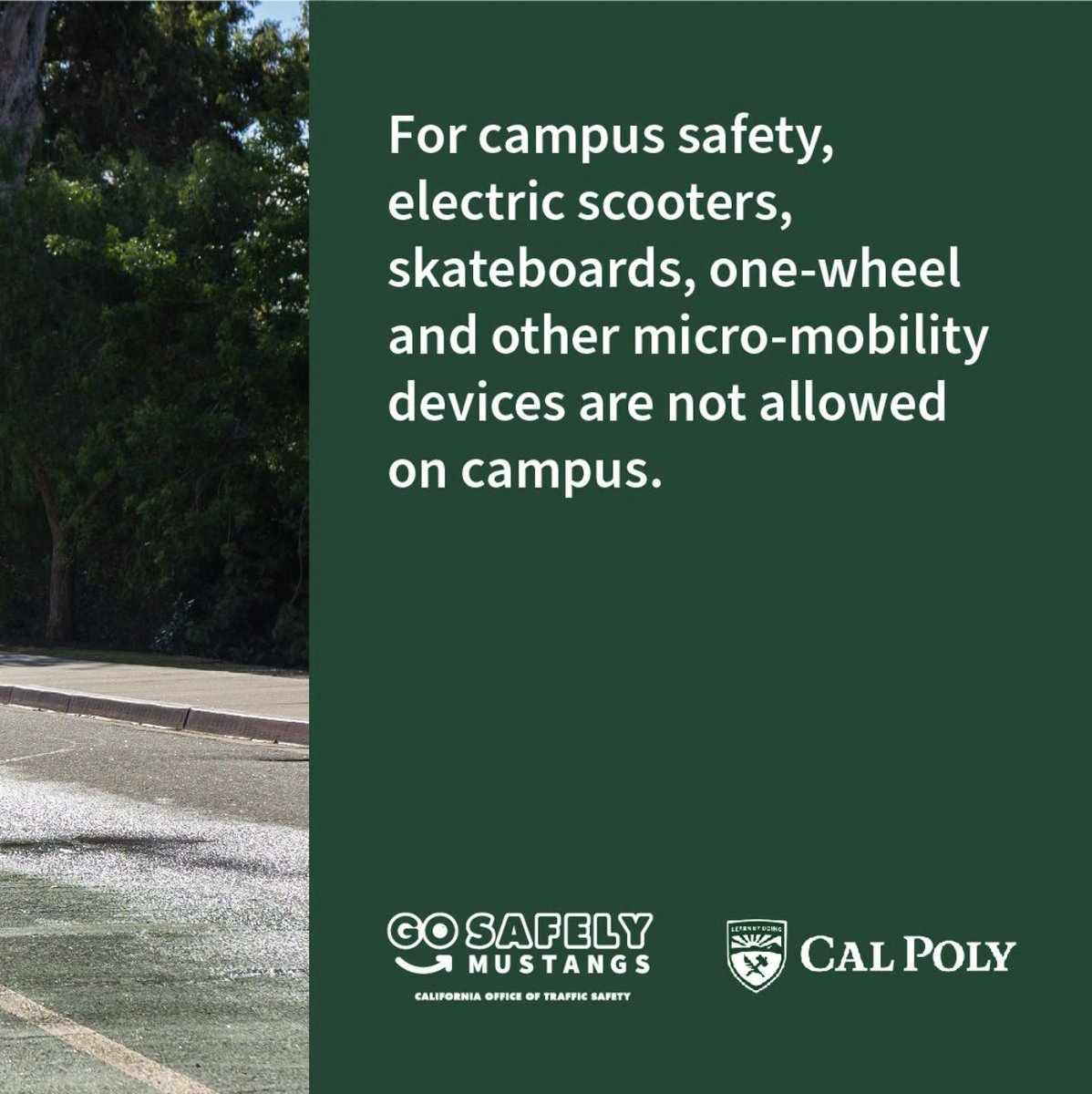 Welcome to WOW Week, Mustangs! As you explore campus during orientation, remember to roll safely with human energy! 

Please note that electric scooters, skateboards, and other devices are not allowed for your safety. Let's make WOW Week fun and safe for everyone!
