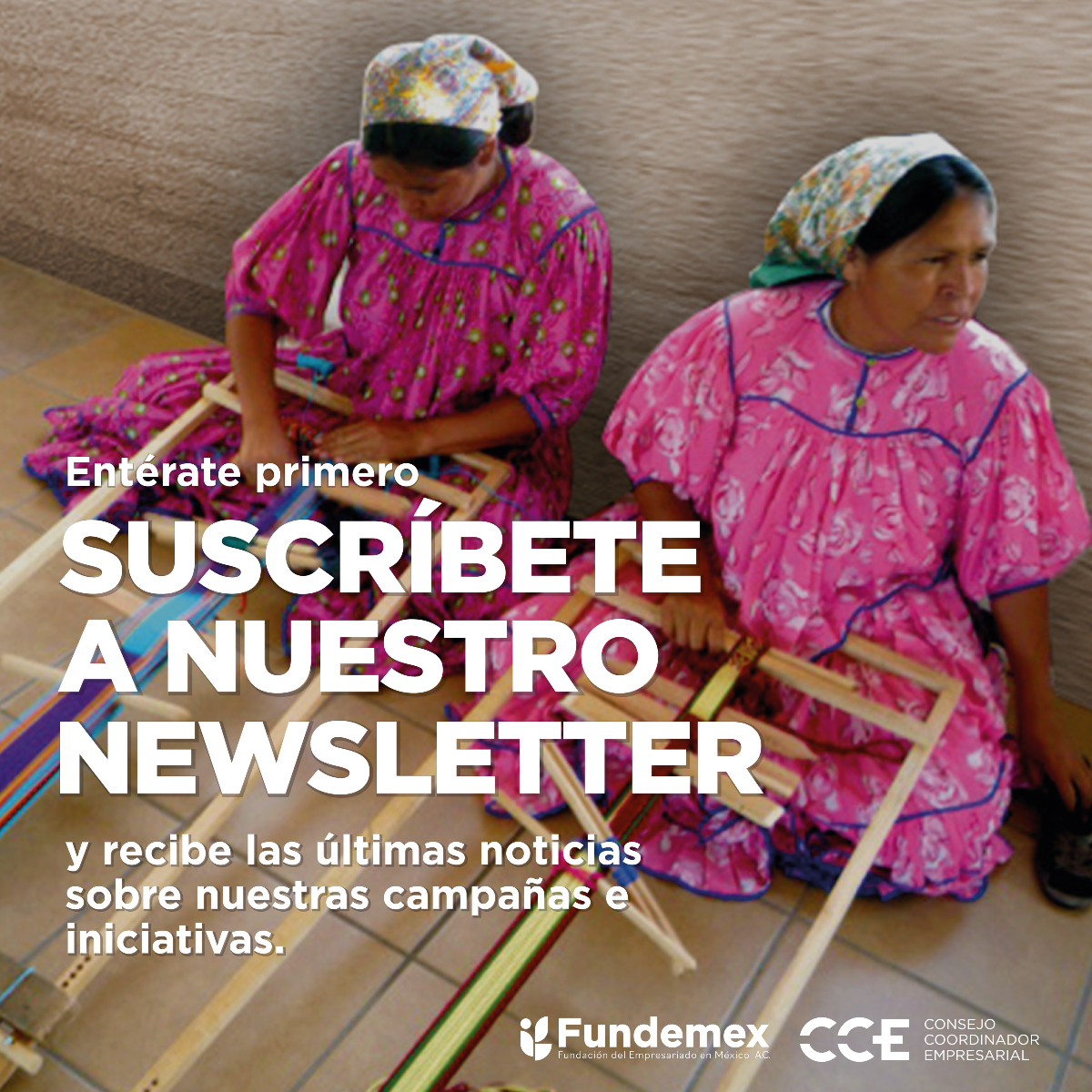 📣📣📣 Comunidad Fundemex 📣📣📣

¡Gracias por ser parte de esta gran labor social empresarial!​ 🌱

​Suscríbete a nuestro newsletter 📰 y ayúdanos a seguir haciendo la diferencia 🫶

👉👉👉 fundemex.org.mx

 #Fundemex #20AñosImpactoSocial