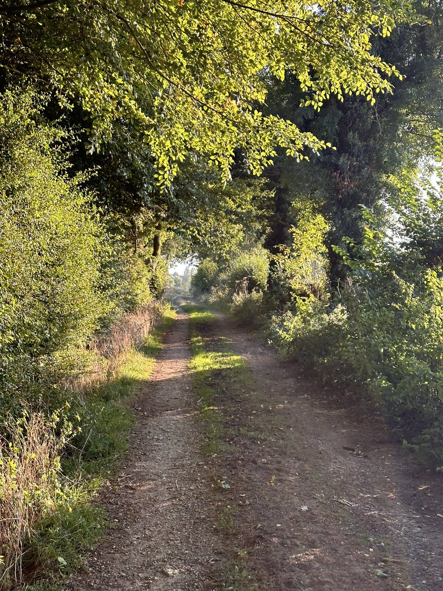 Jono Eckley (@jono_eckley) on Twitter photo Wouldn’t it be fab if these gorgeous autumn evening were here for a while longer - amazing for a post work bike ride with <a href="/LucyEckley/">Lucy Eckley</a> to clear the head #oxfordshire #bikeride Wouldn’t it be fab if these gorgeous autumn evening were here for a while longer - amazing for a post work bike ride with <a href="/LucyEckley/">Lucy Eckley</a> to clear the head #oxfordshire #bikeride
