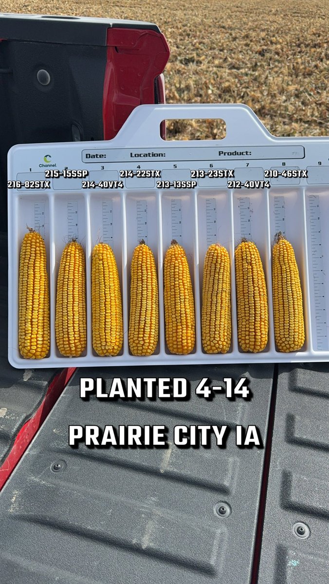 Another good looking CxC Plot in Central Iowa <a href="/ChannelSeed/">Channel Seed</a> <a href="/Iowa_Channel/">Iowa Channel</a>