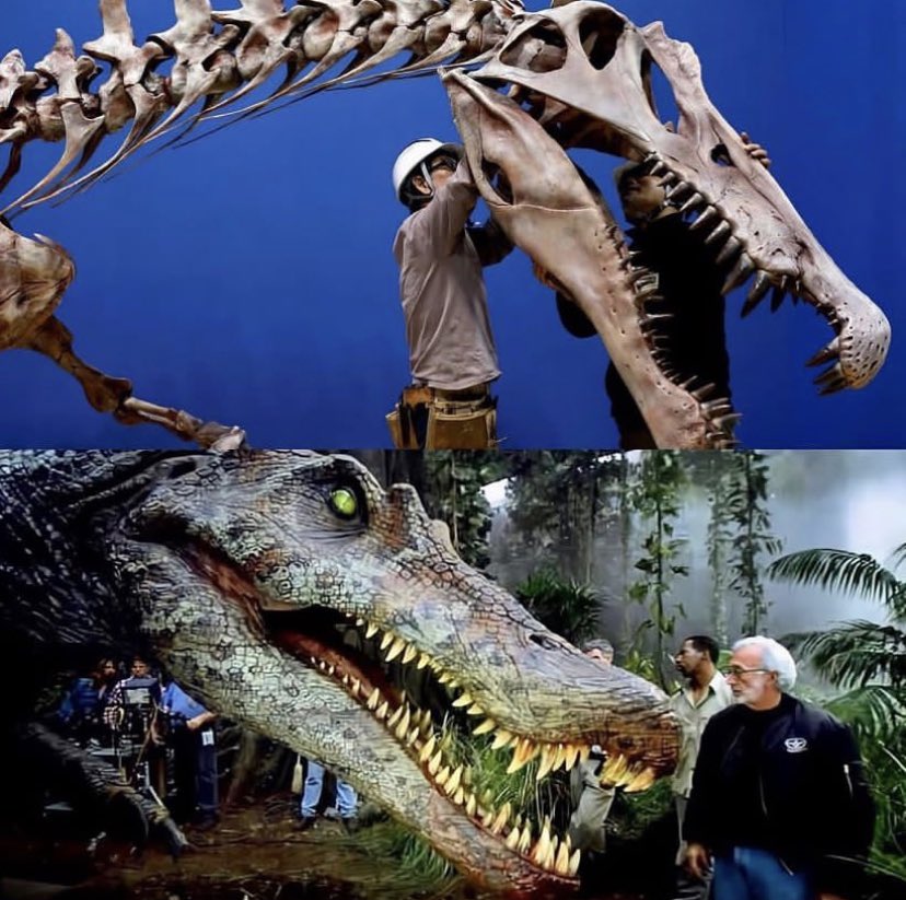 Jurassic Forever: Spinosaurus 

#JurassicWorldRebirth #Rebirth #JurassicWorldDominion #dinosaurs #paleoart #jurassic #animals #nature #dino #dinosaur #fossil #paleontology #paleontologist #jurassicpark #jurassicworld #Spinosaurus #Spino #Predator #SuperPredator 

🦖❤️🦕