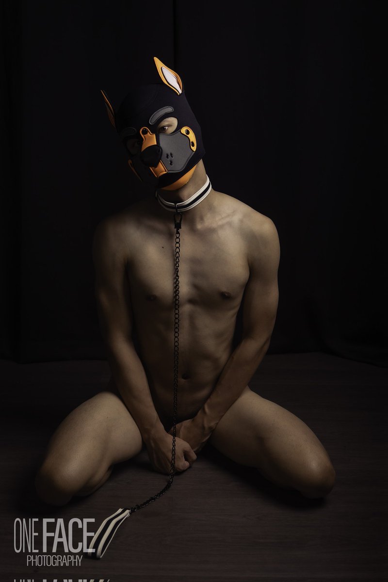 Curious pup
📸:<a href="/onefacephotog/">✧ 𝕠𝕟𝕖𝕗𝕒𝕔𝕖 📸 𝕡𝕙𝕠𝕥𝕠𝕘𝕣𝕒𝕡𝕙𝕪 ✧</a>