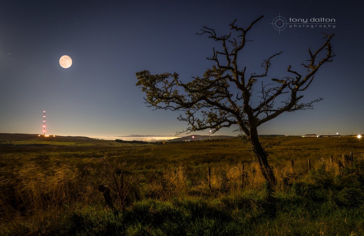 Tony Dalton Photography tweet media