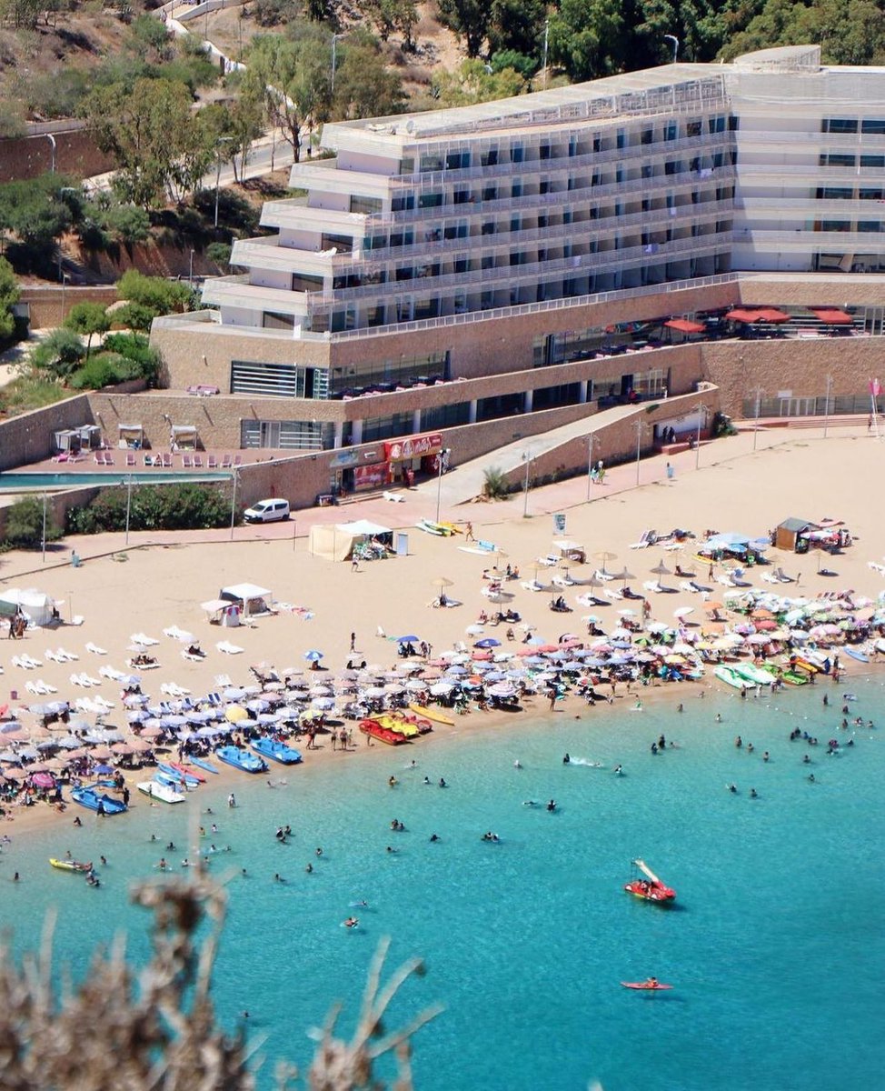 TFT MOROCCO tweet media