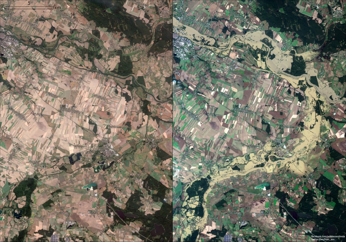 from_sen's tweet photo. Changes in water levels of the Odra and Nysa Kłodzka rivers in #Poland above Brzeg between September 8 and 18, 2024, captured by the #Sentinel-2 satellite https://t.co/KKWza1ggbI