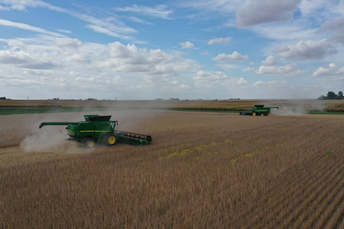 LongViewFarms's tweet image. Harvest 2024 has begun at LongView Farms! Wishing all those involved in Ag a safe and efficient season. Stay tuned for more updates from the fields! #LongViewFarms #agriculture #harvest2024