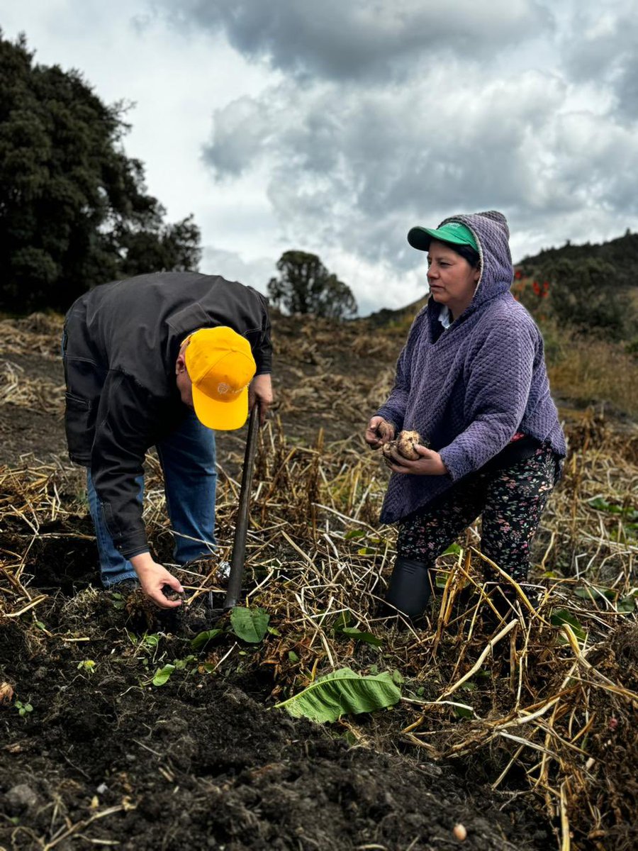 MinEnergiaCo's tweet photo. Estuvimos en Tausa conociendo la experiencia de Terra Integrity en la recuperación de zonas de páramo afectadas por la minería.

Nuestro Ministerio celebra estas experiencias exitosas de restauración y reproducción de especies nativas bajo condiciones locales que mejoran la supervivencia del material vegetal sembrado. Continuáremos apoyando estas iniciativas que aseguran procesos sostenibles.

#MineríaParaLaVida