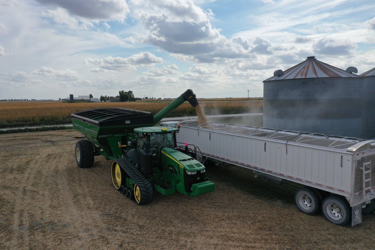 LongViewFarms's tweet image. Harvest 2024 has begun at LongView Farms! Wishing all those involved in Ag a safe and efficient season. Stay tuned for more updates from the fields! #LongViewFarms #agriculture #harvest2024