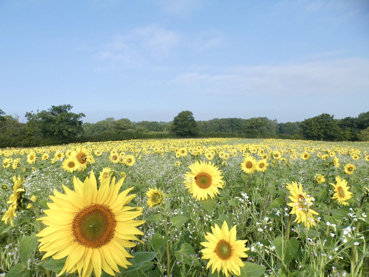 I’m honoured to be invited to the Hunnington Parish Council meeting on Monday evening to share how Nature Friendly Farming <a href="/BibbeysWildFarm/">Bibbey’s Wild Farms</a> under <a href="/Ruralpay/">RPA</a> stewardship has delivered a remarkable contribution to Nature’s recovery and a range of other benefits to local residents 🌞