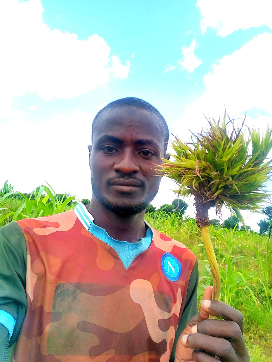 musambako's tweet photo. Assalamu alaikum warahmatullahi ta'ala wabar katuhu 

Yan uwa yau ina tafe da tambaya ce amma da iya manoma nake 

A matsayinka na manomi shin kokasan menene sunan wannan abun dayake riqe a hanuna? 

Ina sauraro daga gakeru a comment section🔽
@bbchausa https://t.co/UnoPgYvBms