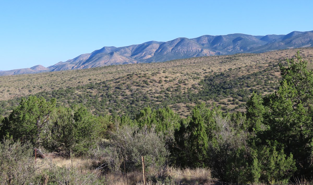 Robert P. Rowley tweet media