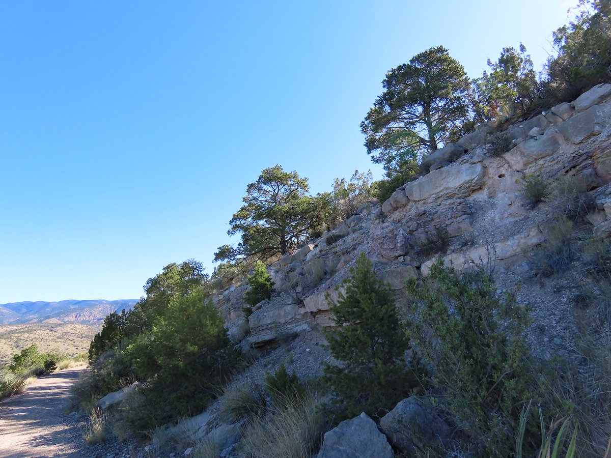 Robert P. Rowley tweet media