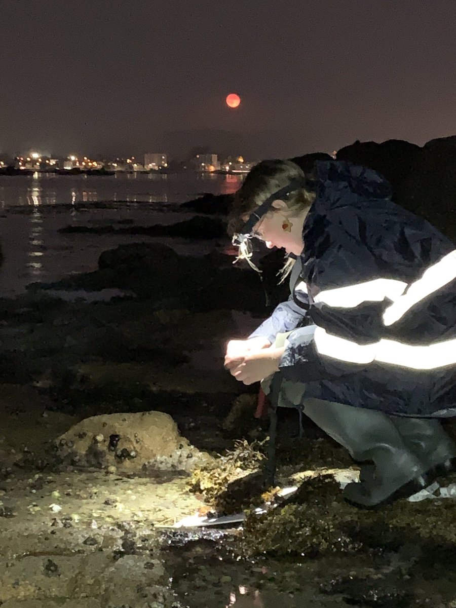 John Griffin (@jngriffy) on Twitter photo Happy to be visiting sites in Galicia, N. Spain, with PhD student <a href="/rubygeorge_/">Ruby George</a> and the <a href="/BEcologyCIIMAR/">Benthic Ecology Team CIIMAR</a> team. This is the southern (warmest) region in our collaborative study on the resilience of intertidal forests along a latitudinal gradient. Happy to be visiting sites in Galicia, N. Spain, with PhD student <a href="/rubygeorge_/">Ruby George</a> and the <a href="/BEcologyCIIMAR/">Benthic Ecology Team CIIMAR</a> team. This is the southern (warmest) region in our collaborative study on the resilience of intertidal forests along a latitudinal gradient.