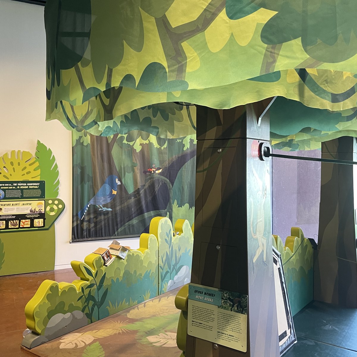 We're getting ready for your Wild Kratts adventure! Check out some sneak peek moments from the exhibit install.

#FWMSH #WildKratts @WildKrattsTV #CreaturePower