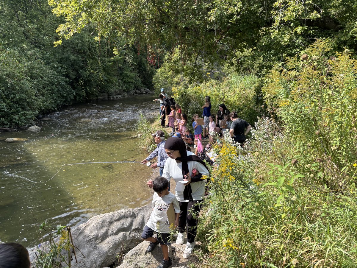 Our classes had an amazing time visiting the creek today, making meaningful connections with the land and witnessing the salmon swim upstream! 🐟 Other classes are excited for their upcoming walks!