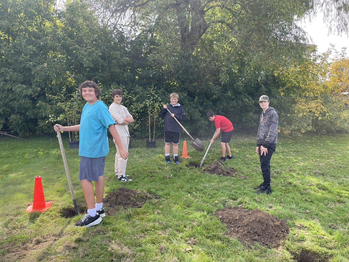 Our Kindergarten classes planted clumps of birch trees today, deepening their connection with the land and nature. 🌱🌳 We’re excited to watch them grow and thrive!