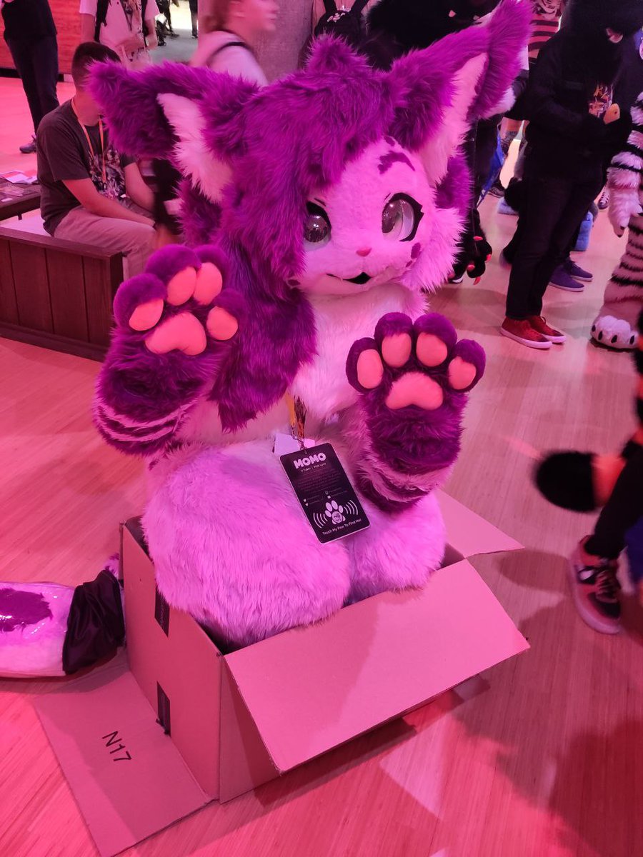 I fit 📦🐈