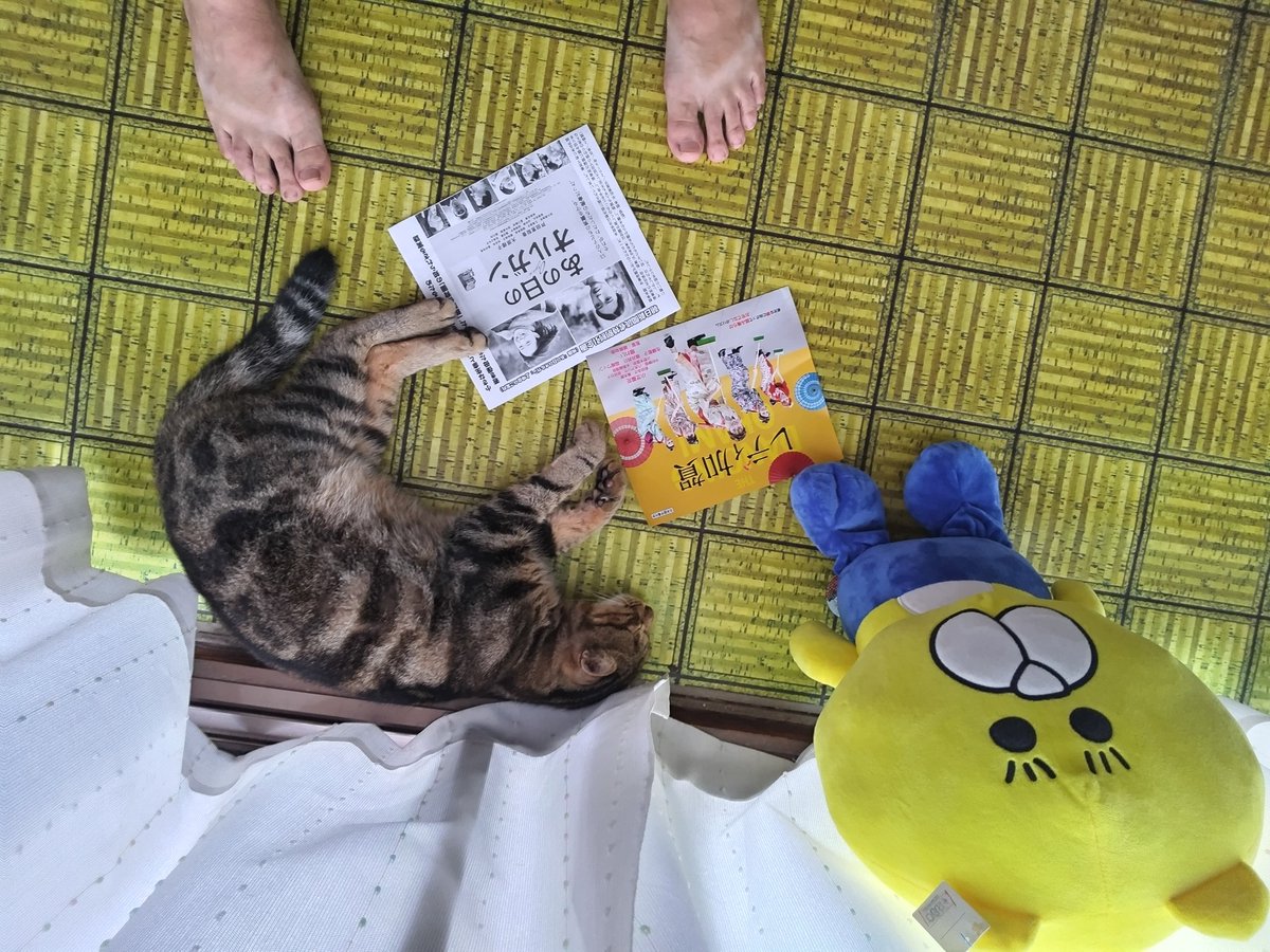 朝から  寝てる

猫だもん

しかたないよね～

🐱🐾🐾