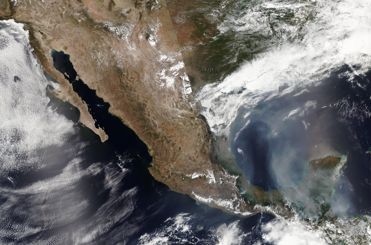 InfoMeteoro's tweet photo. ❇️#México ha reverdecido

🏜️Hace 4 meses, a mediados de mayo enfrentábamos una gran sequía con casi 75% de extensión y calores récord por fenómeno de #ElNiño

🌳Ahora, en fase neutra y tendencia a #LaNiña, el verano ha sido mucho más lluvioso de lo normal

🌧️¡Viene más lluvias! https://t.co/l1K0mEziBf