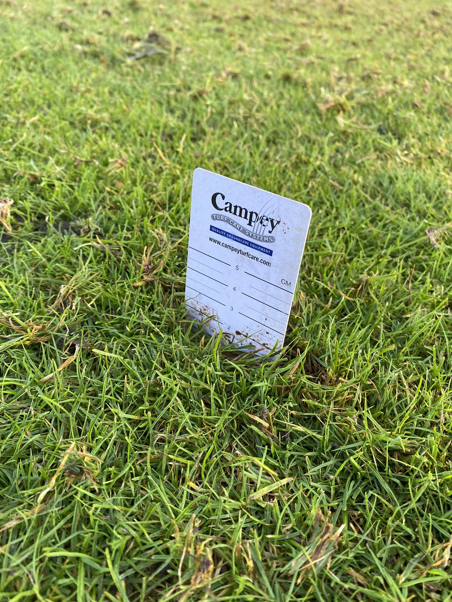 MikeRussell04's tweet image. Ripping through the rye to keep encouraging the fescue. Productive couple of days scarifying all fairways and approaches, continuously trying to improve every surface. @SISISMachinery veemo from @BA_LTD, cracking piece of kit 👌🏻 @PoultonPark #greenkeeper #surfacerefinement