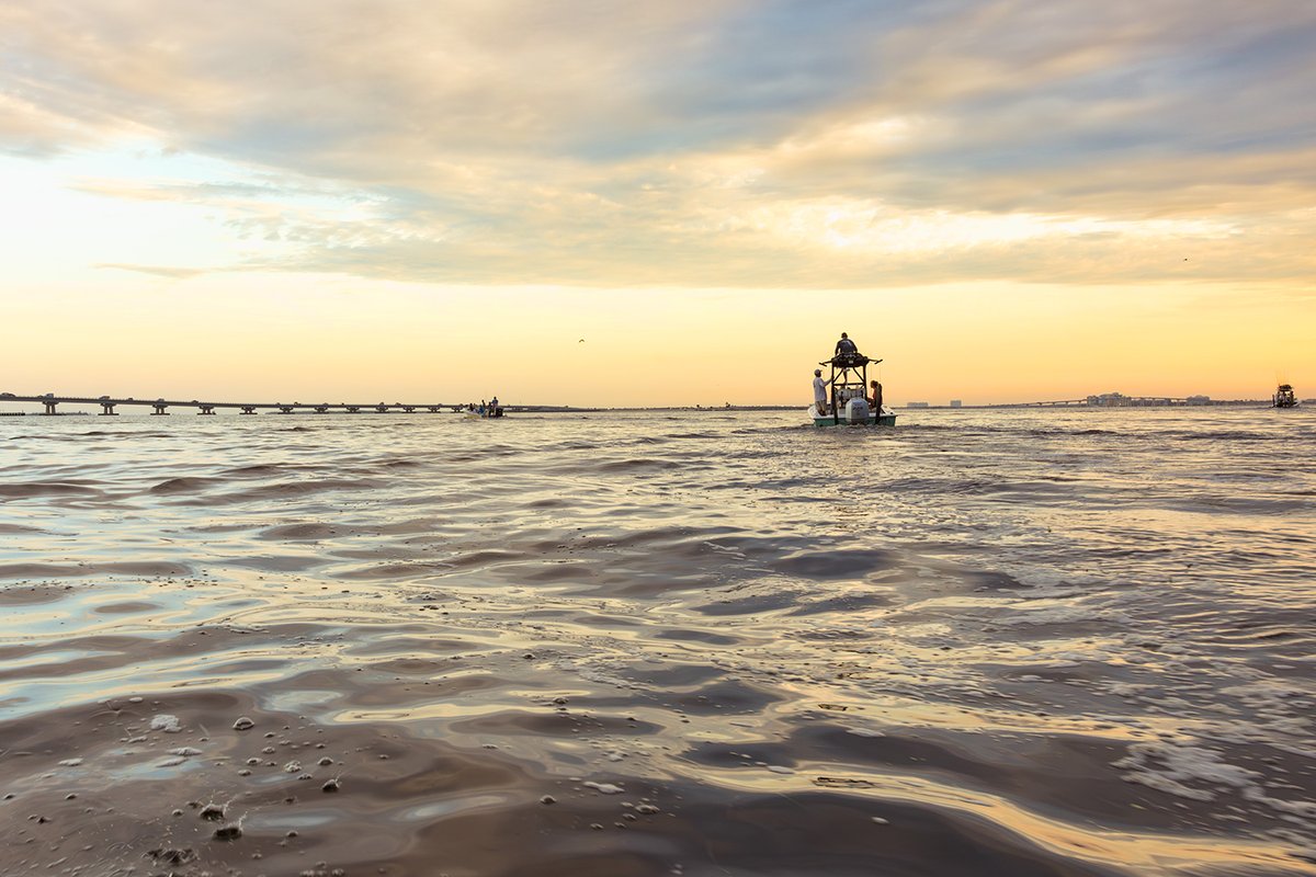 During our Preserving Paradise session yesterday, SCCF joined business leaders &amp; our partners at <a href="/Capt4CleanWater/">Captains For Clean Water</a>, the <a href="/evergfoundation/">The Everglades Foundation</a> , &amp; @sancapchamber for a day learning about and enjoying the natural resources of the Caloosahatchee Estuary!

🔗: sccf.org/blog/2024/09/1…