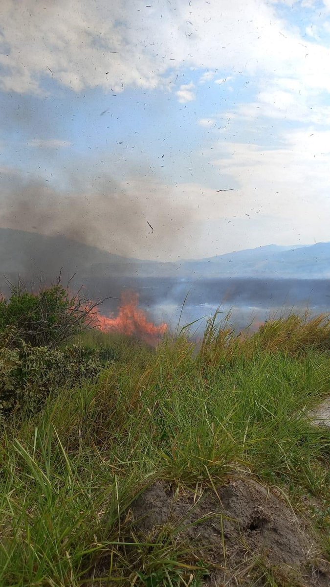 danielandrestol's tweet image. 🚨🚨Los municipios afectados son El Libano, Coyaima, Natagaima, San Luis, Ataco, Alpujarra y Ortega. 🔥🔥 

Hacemos un llamado URGENTE al Gobierno Nacional @UNGRD Son más 12000 hectáreas de Bosque 🌳 Que se las ha consumido las llamas @petrogustavo