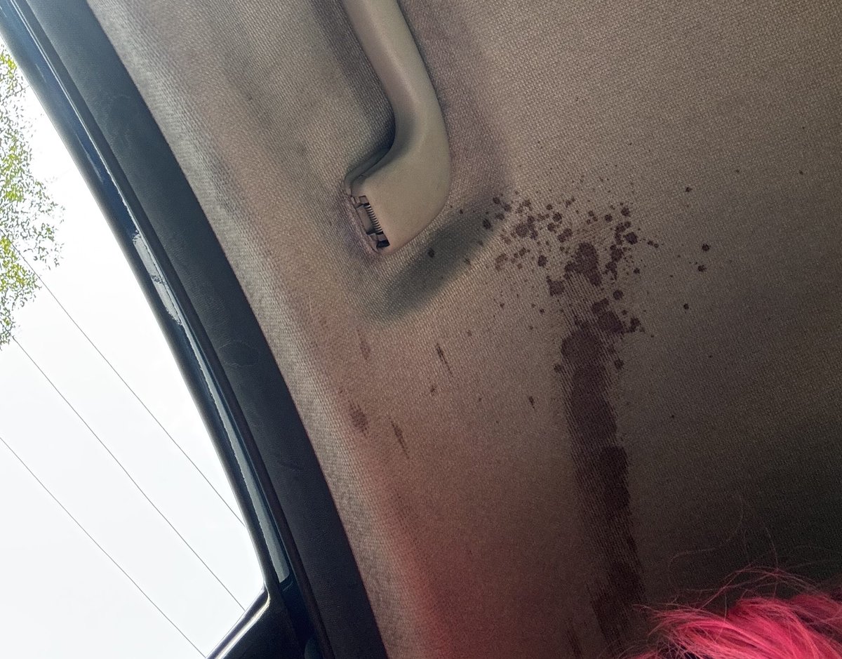 OyePam | Pamonstruo 🦇 tweet media