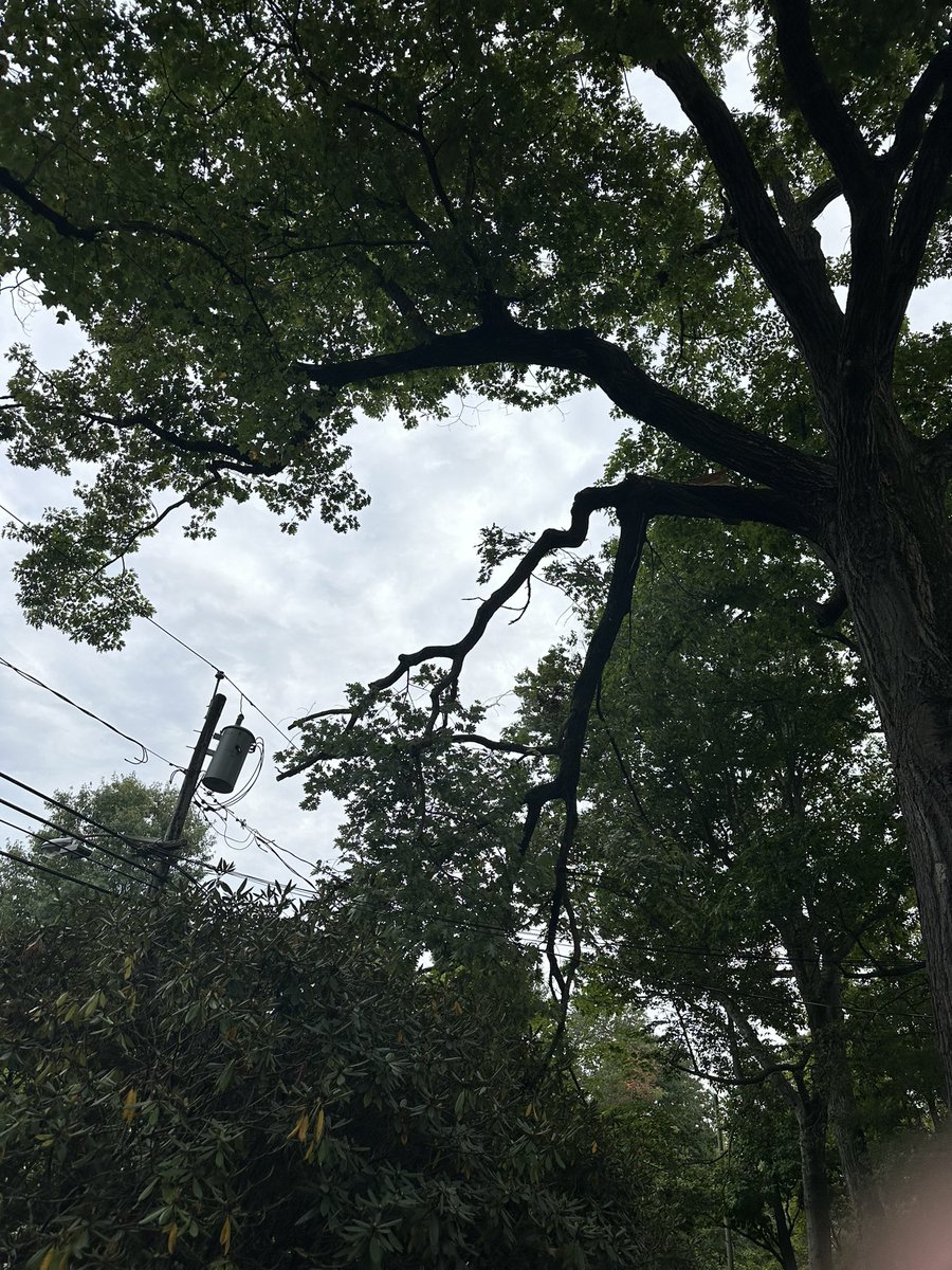 Special shout out to Frank Andriani from PSEG who working solo restored electricity to our block when a large limb took out a transformer. Englewood fire fighters and PSEG responded quickly and effectively. <a href="/PSEGNews/">PSEG</a> <a href="/PSEGdelivers/">PSE&G</a>.