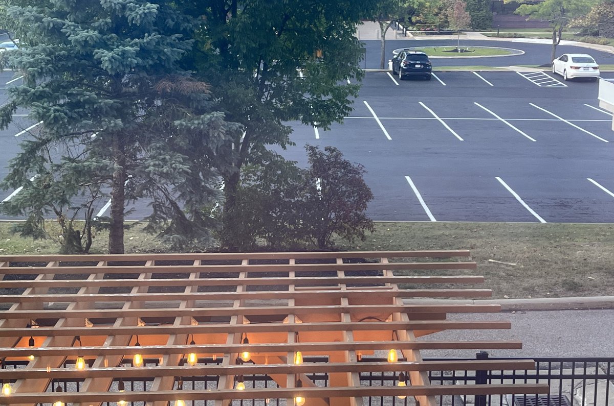 Fake_Farrah's tweet photo. Have not witnessed any cats or dogs being eaten, but I’m keeping my window open just in case. #DesignatedLookout #WhenInOhio https://t.co/n4amhnq40G