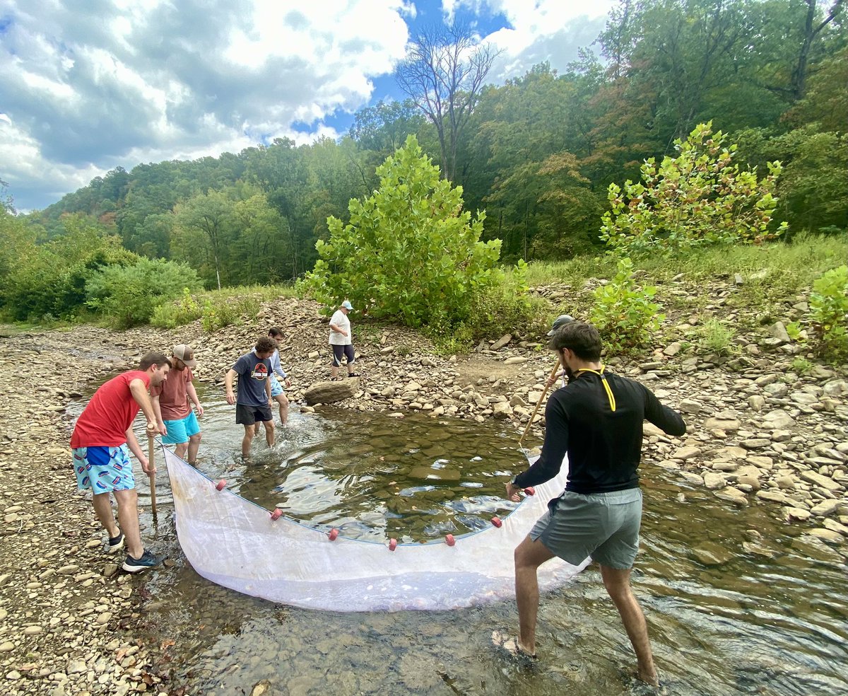 FisHecke's tweet photo. Stellar afternoon sampling fish on Illinois Bayou with my fisheries techniques class. 
Pictured is a Banded Darter https://t.co/kGcQmnXxzc