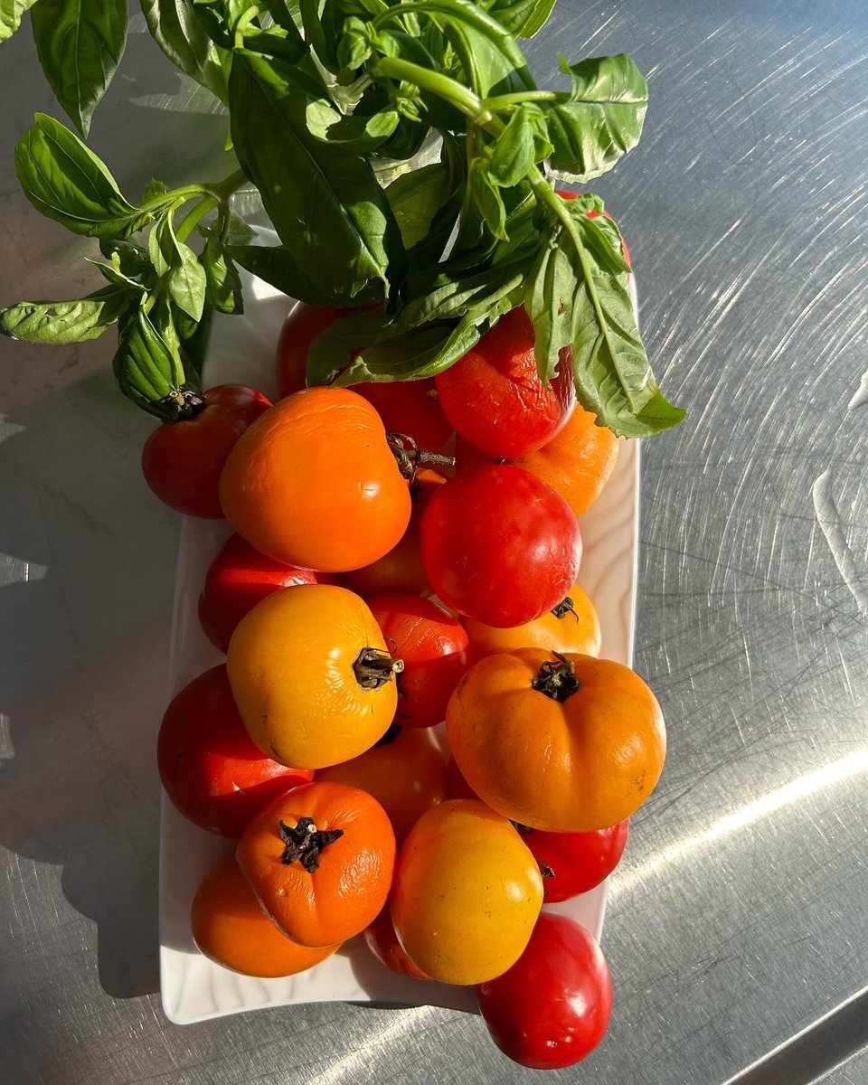 🍅🤩🌱The parent of one of Mrs. Gallagher’s Culinary Tech students gifted the class some beautiful tomatoes fresh from their garden. The students enjoyed making and eating their own homemade bruschetta. Great job everyone. 🍅😋🧄