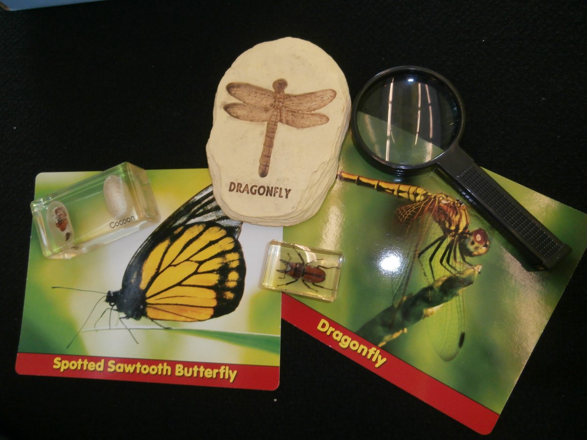Library4NUCC's tweet photo. Are you planning an event or going on a placement to work with kids or members of the community?
The Library has Kits for you to borrow. Drop by and explore!
#Education #WorkingWithChildren #STEAMResources https://t.co/VPyQt5Hmkw