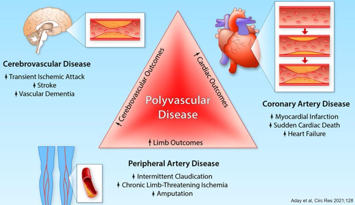Meltiady Issa, MD, MBA tweet media