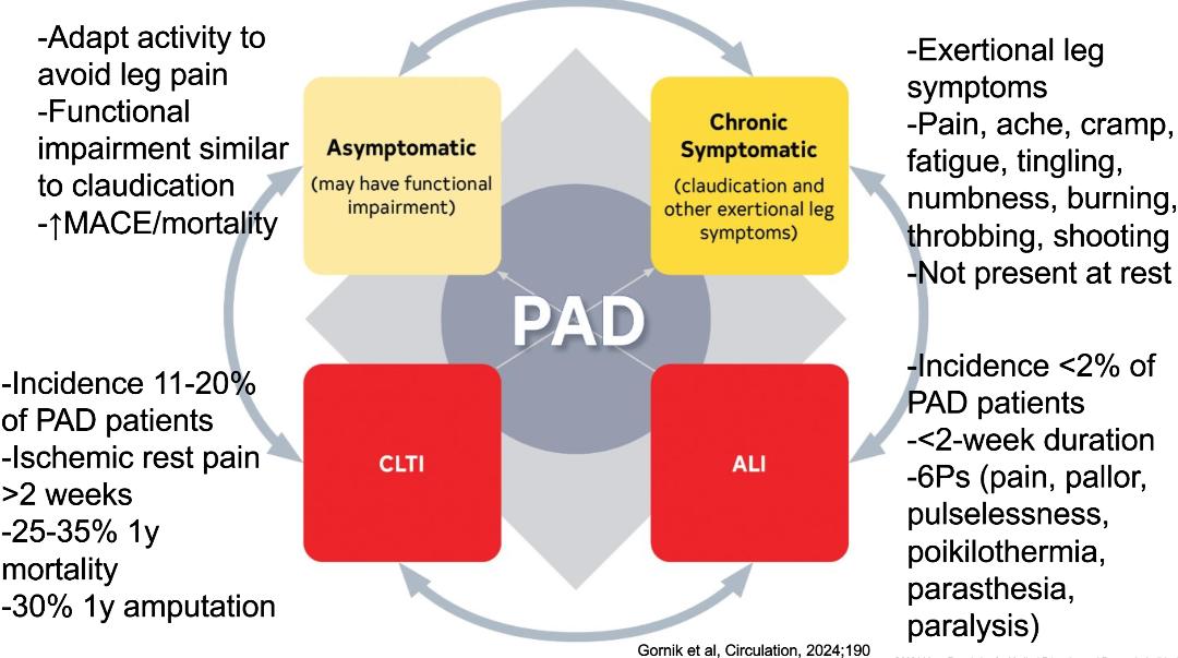 Meltiady Issa, MD, MBA tweet media