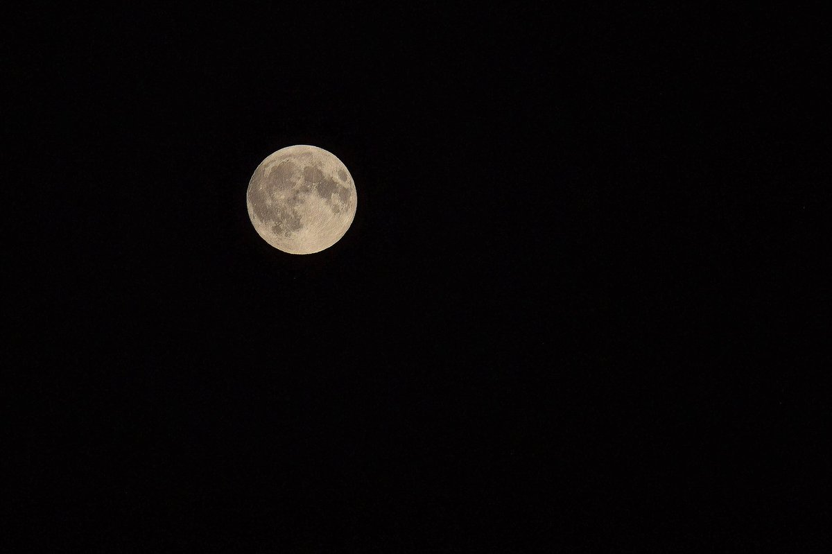 doherty_conor's tweet photo. Thought I’d bring the camera out one more time tonight. 🌑

📸 Nikon D5300

F8
1/400
ISO: 200
AF-S Nikkor 55-200mm

#nikon #nikoneurope #nightphotography #ireland #landscape #sky #photography #night #moon #moonlight https://t.co/h39mfsDcXH