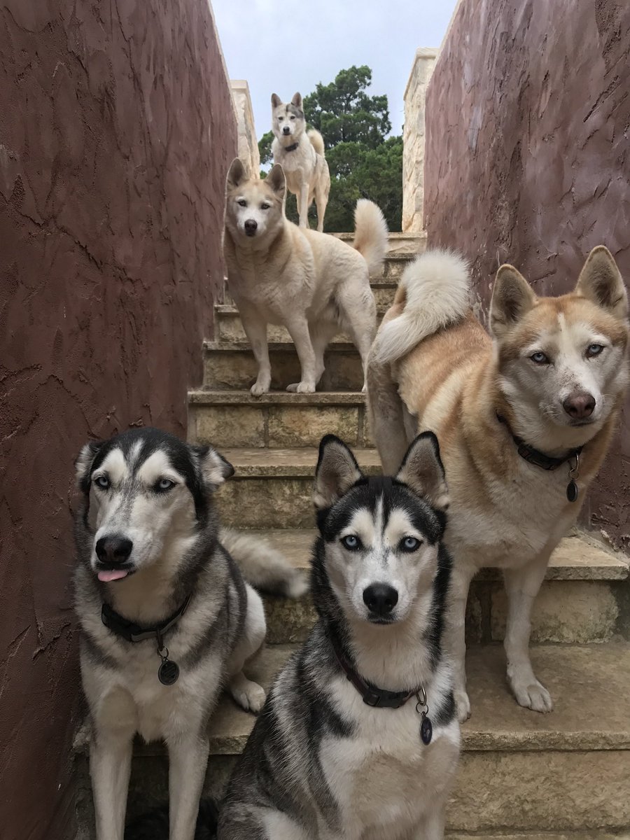 InYourBones tweet media