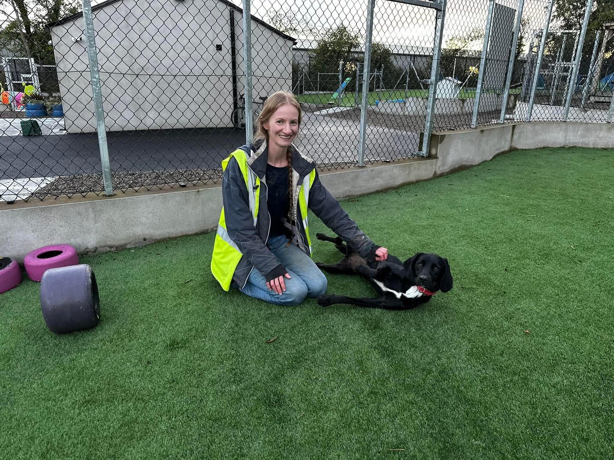 Claire Savage tweet media