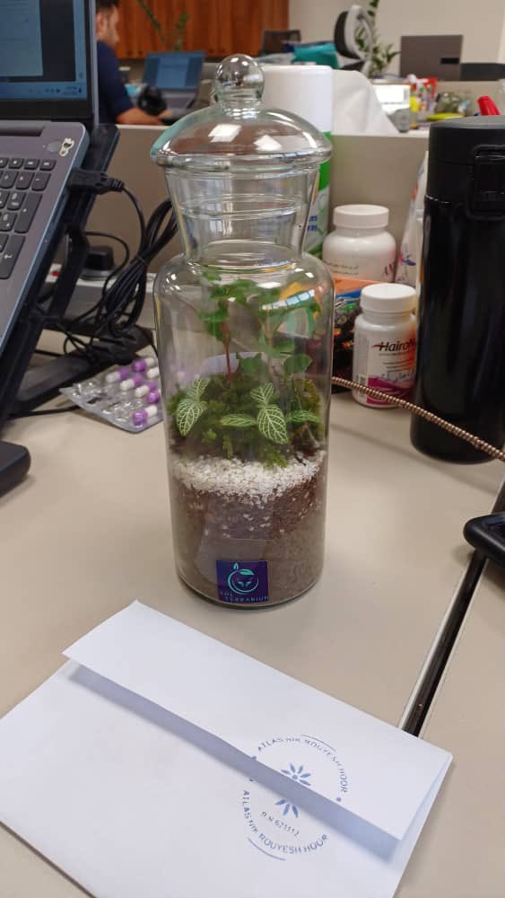 Sol_Terrarium tweet picture
