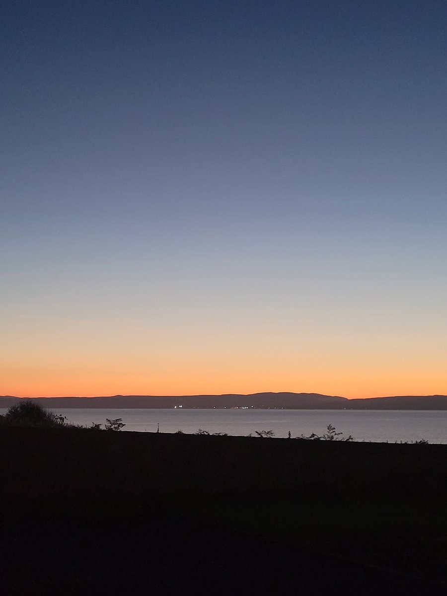 Mavis@islay (@mavisislay1) on Twitter photo 